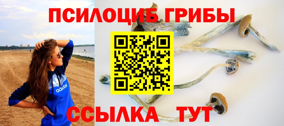 Псилоцибиновые грибы Cubensis  Вход с VPN  Партизанск 